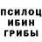 Галлюциногенные грибы Psilocybe Fotini Mirakidi