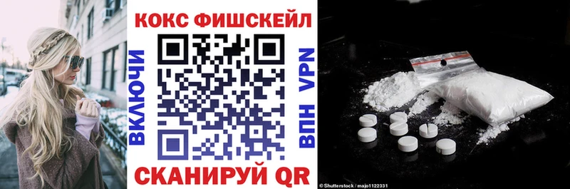 купить наркотики цена  hydra как войти  Cocaine Fish Scale  Дудинка 