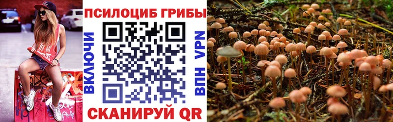 Псилоцибиновые грибы мухоморы  Дудинка 